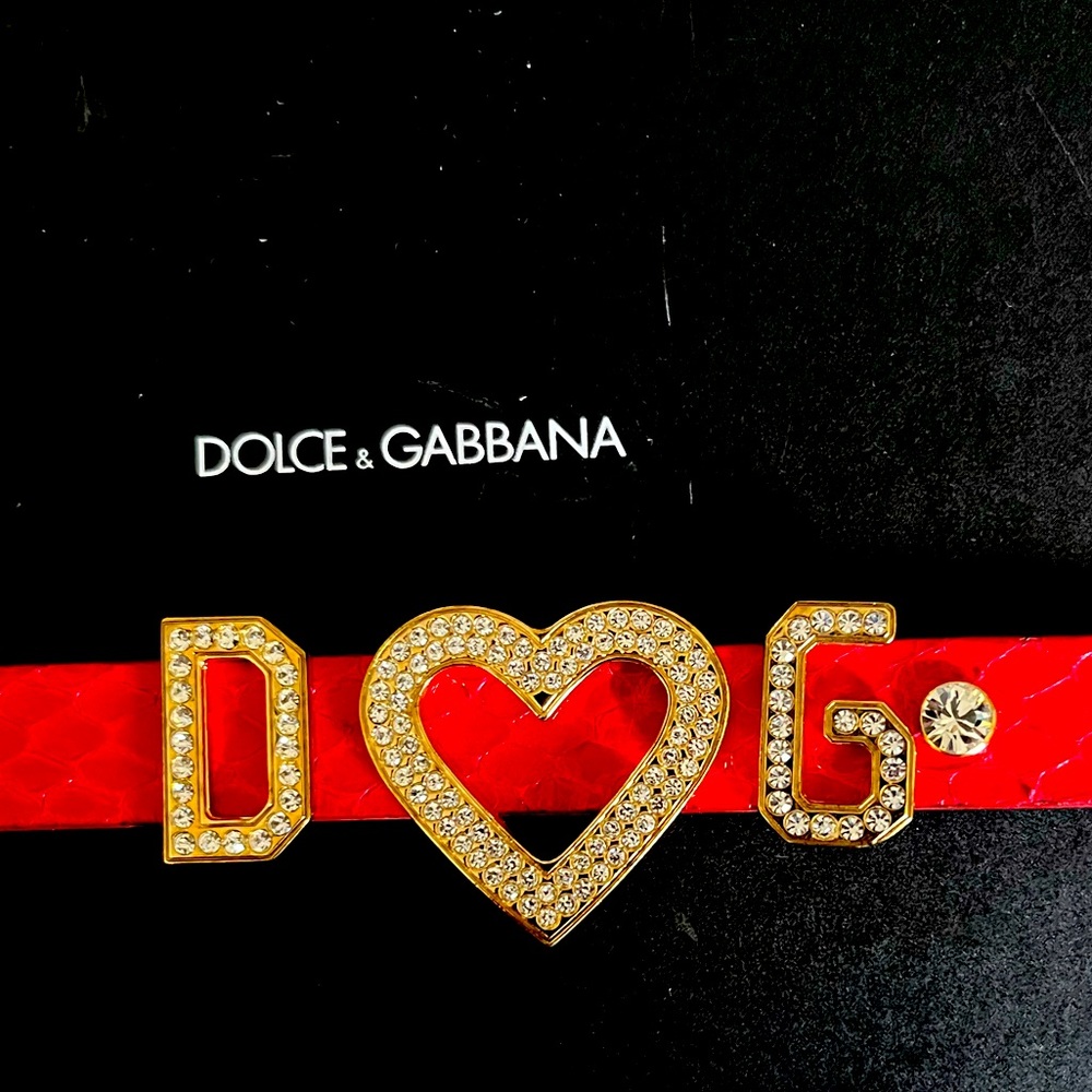 Authentic Dolce & Gabbana red snakeskin & leather choker or bracelet.